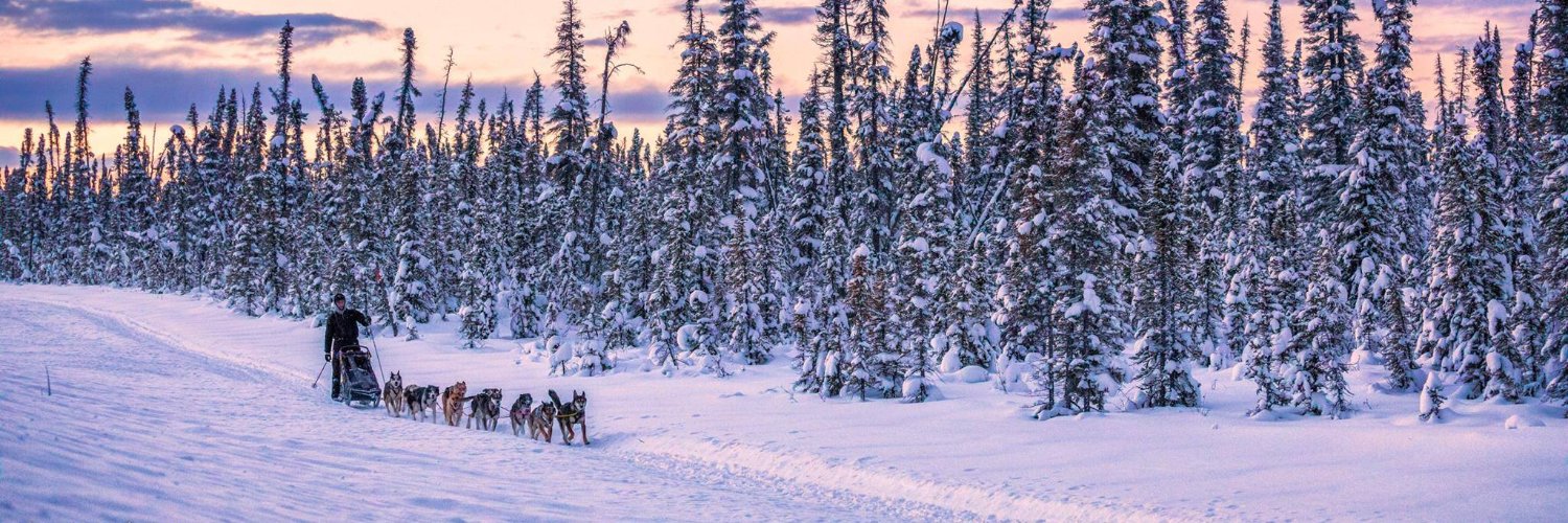 🌸🐣🐰Pamela🐰🐣🌸 banner