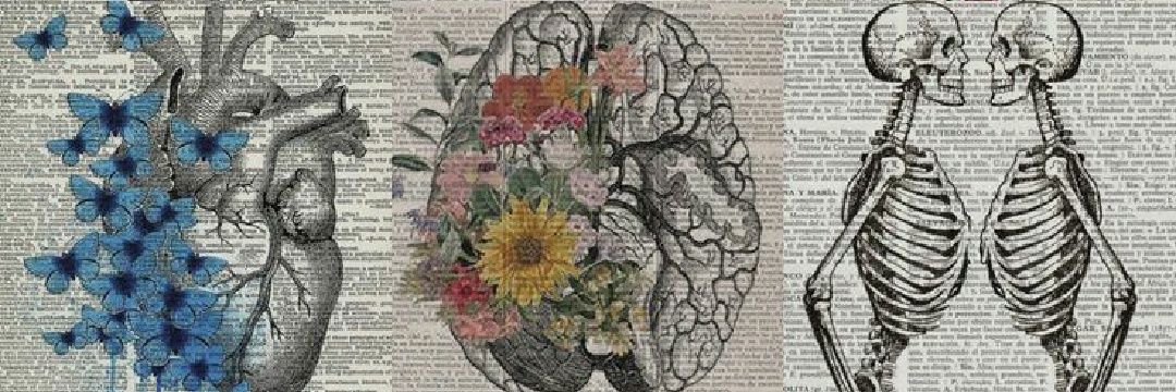 _helobarcelos's profile banner image