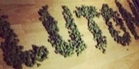 TEAMXOTR's profile banner image