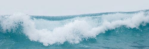 dollarzpd's profile banner image