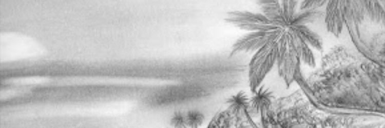 dalaal999's profile banner image