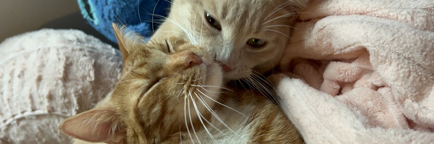 Allison ❤️‍🔥 banner