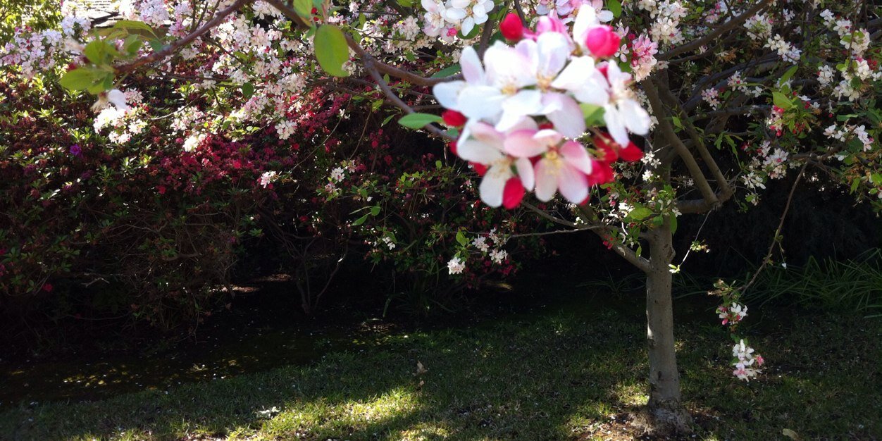 joanblair's profile banner image