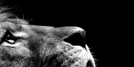 SolCerva1's profile banner image