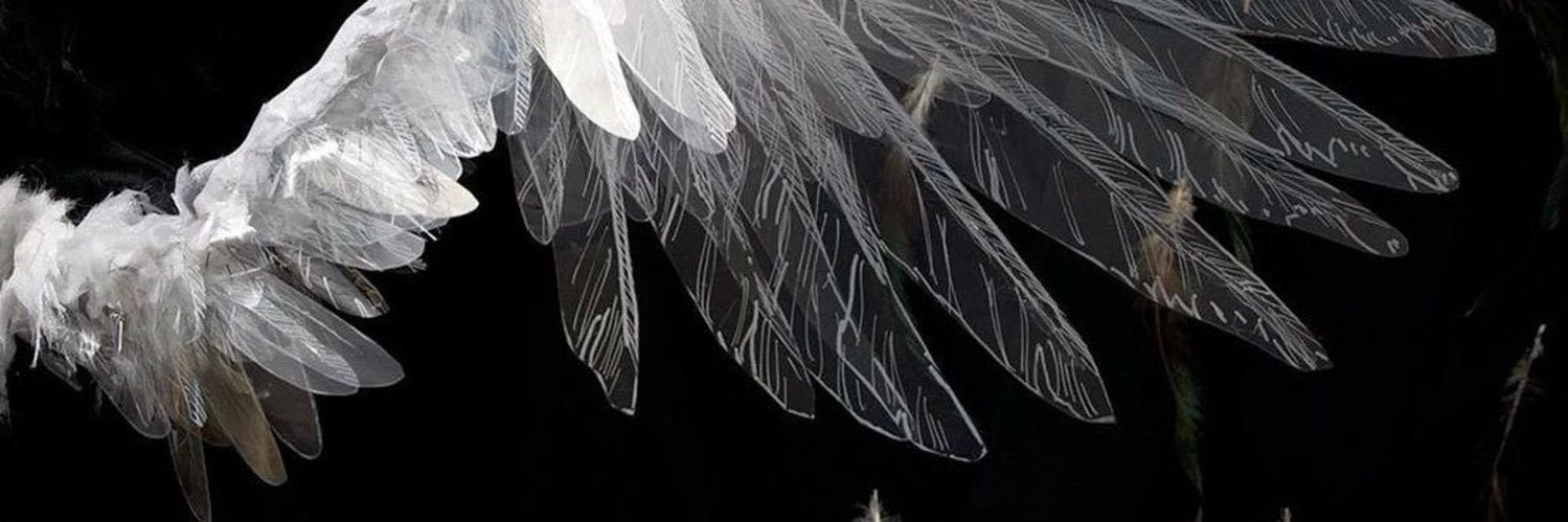 𝐒𝐡𝐞𝐫𝐫𝐲 banner