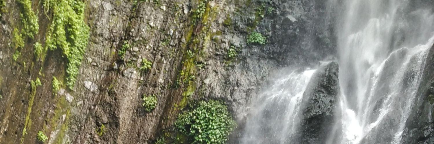 dutimed's profile banner image