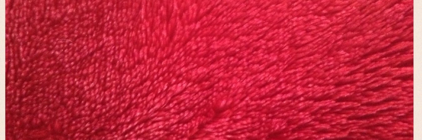 PappyGEE banner