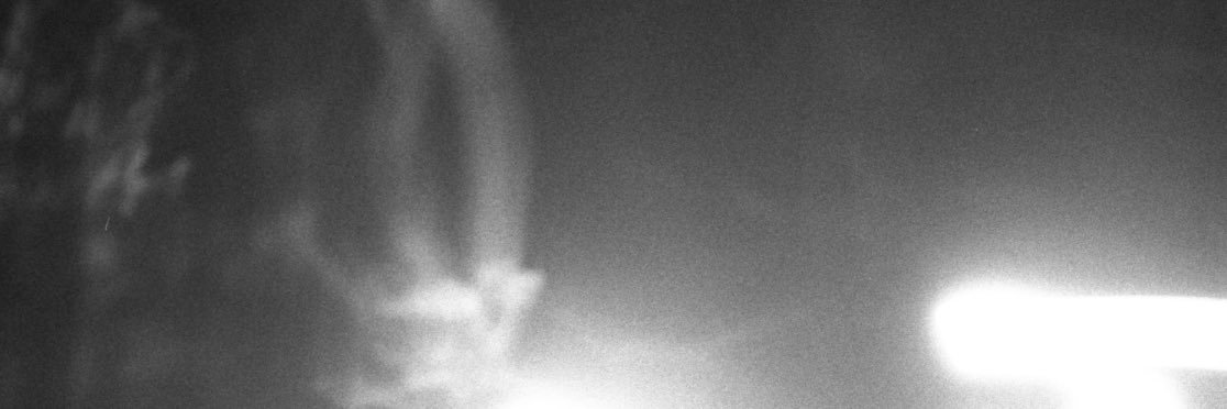 chaimeysten's profile banner image