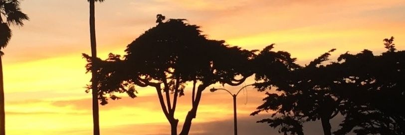 okextraa's profile banner image
