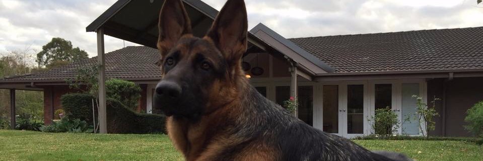 AmandaMcanuff's profile banner image