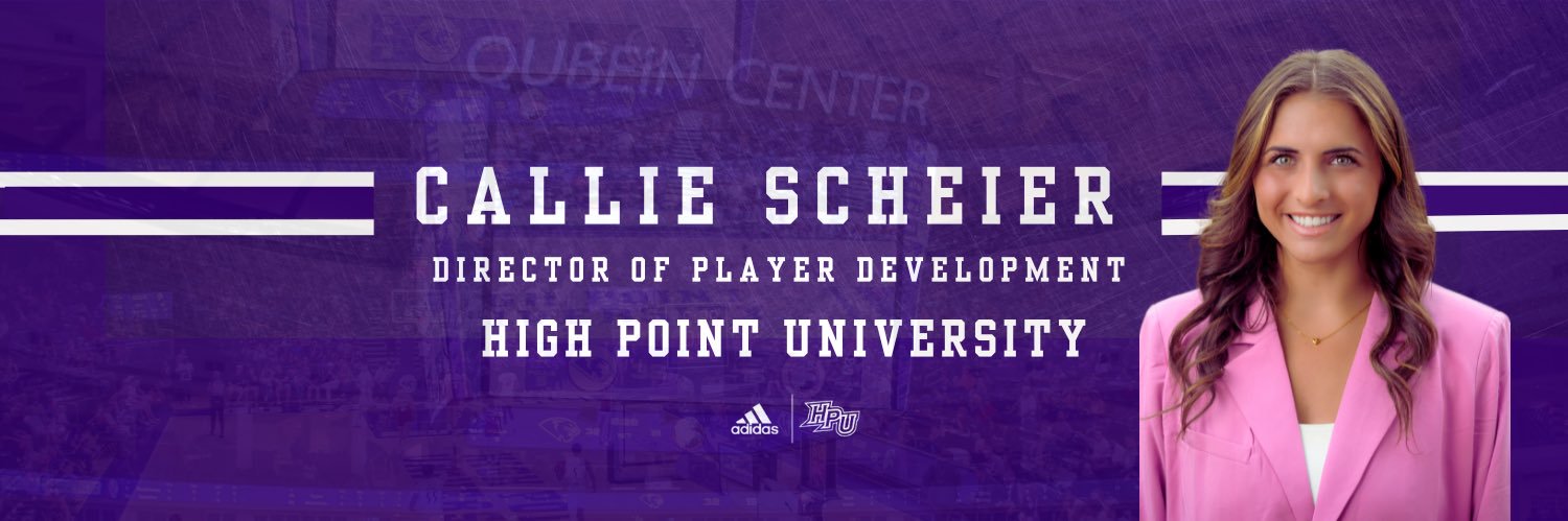 Callie Scheier banner