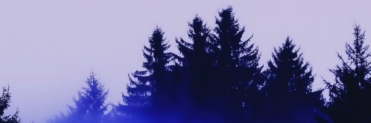 shickwave's profile banner image