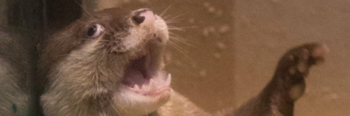 WindyMillsSA's profile banner image