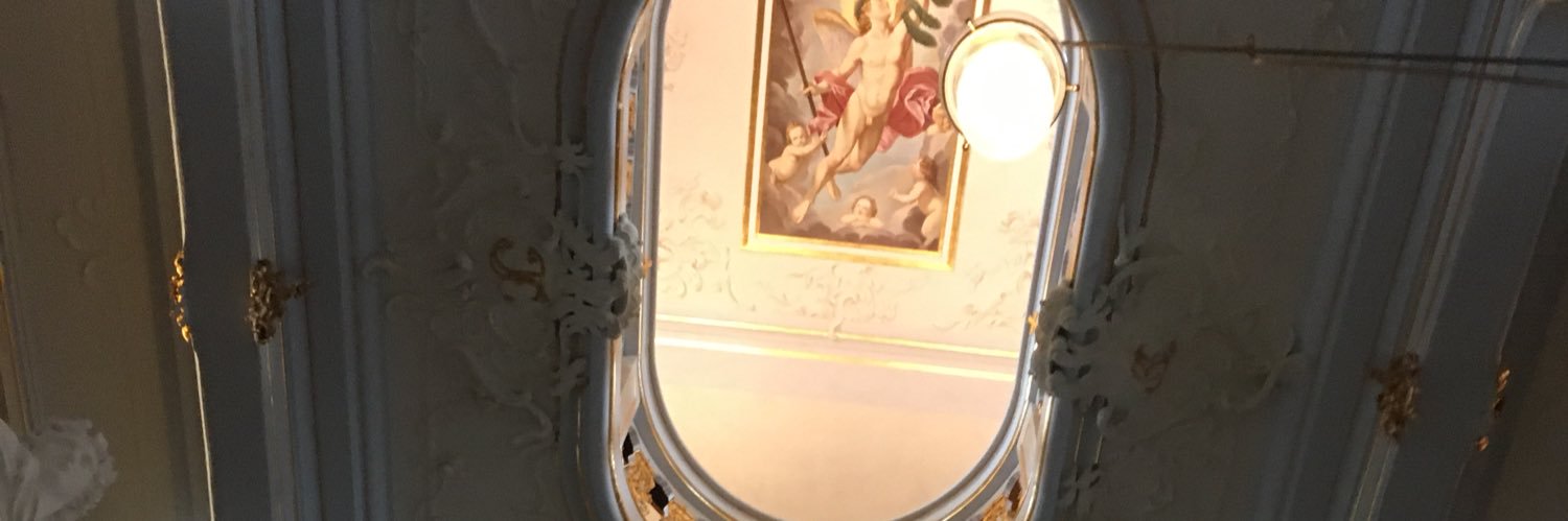 tirzarosee's profile banner image