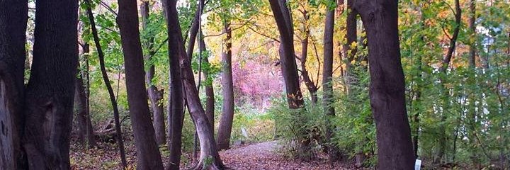 _audreyjrome's profile banner image
