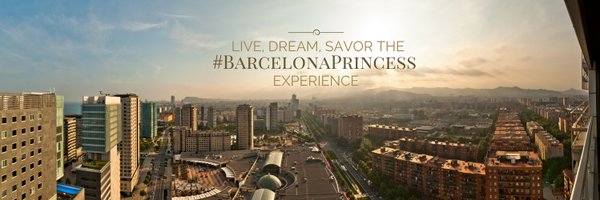 bcnprincess Profile Banner