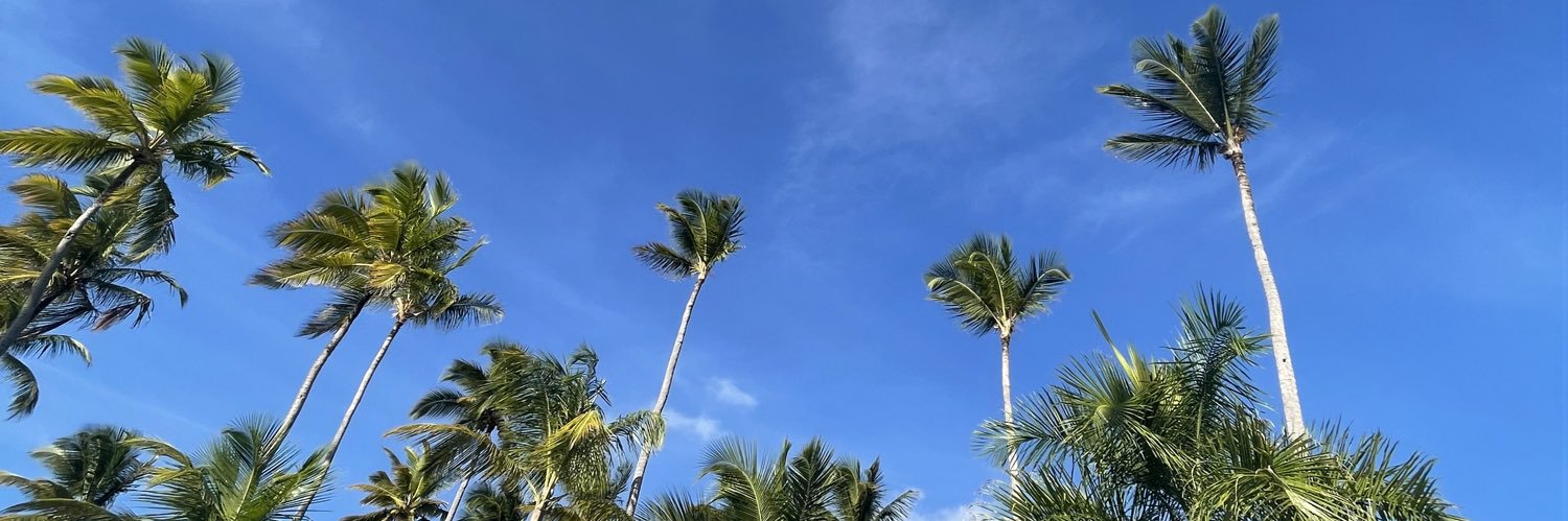 K banner