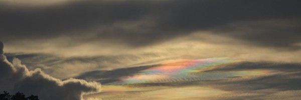 LeeTonya2018 Profile Banner