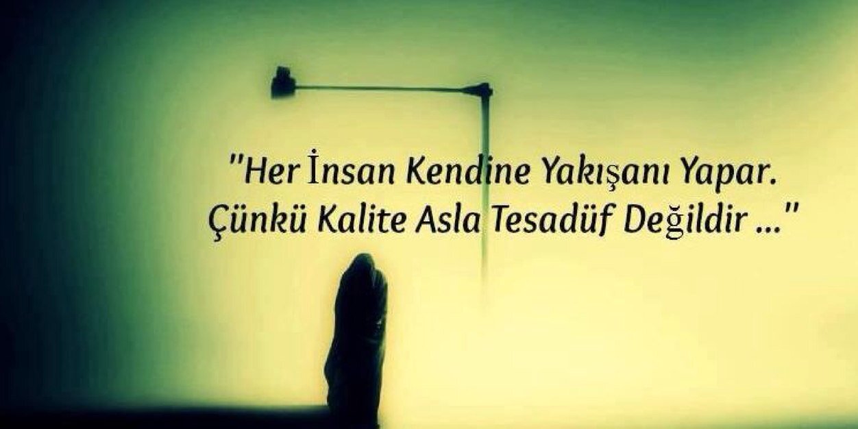 Taphasanoglu's profile banner image