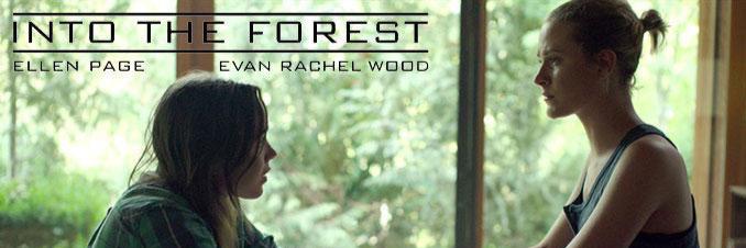 ForestInto's profile banner image