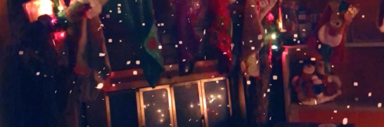 Stephanie Schachner banner