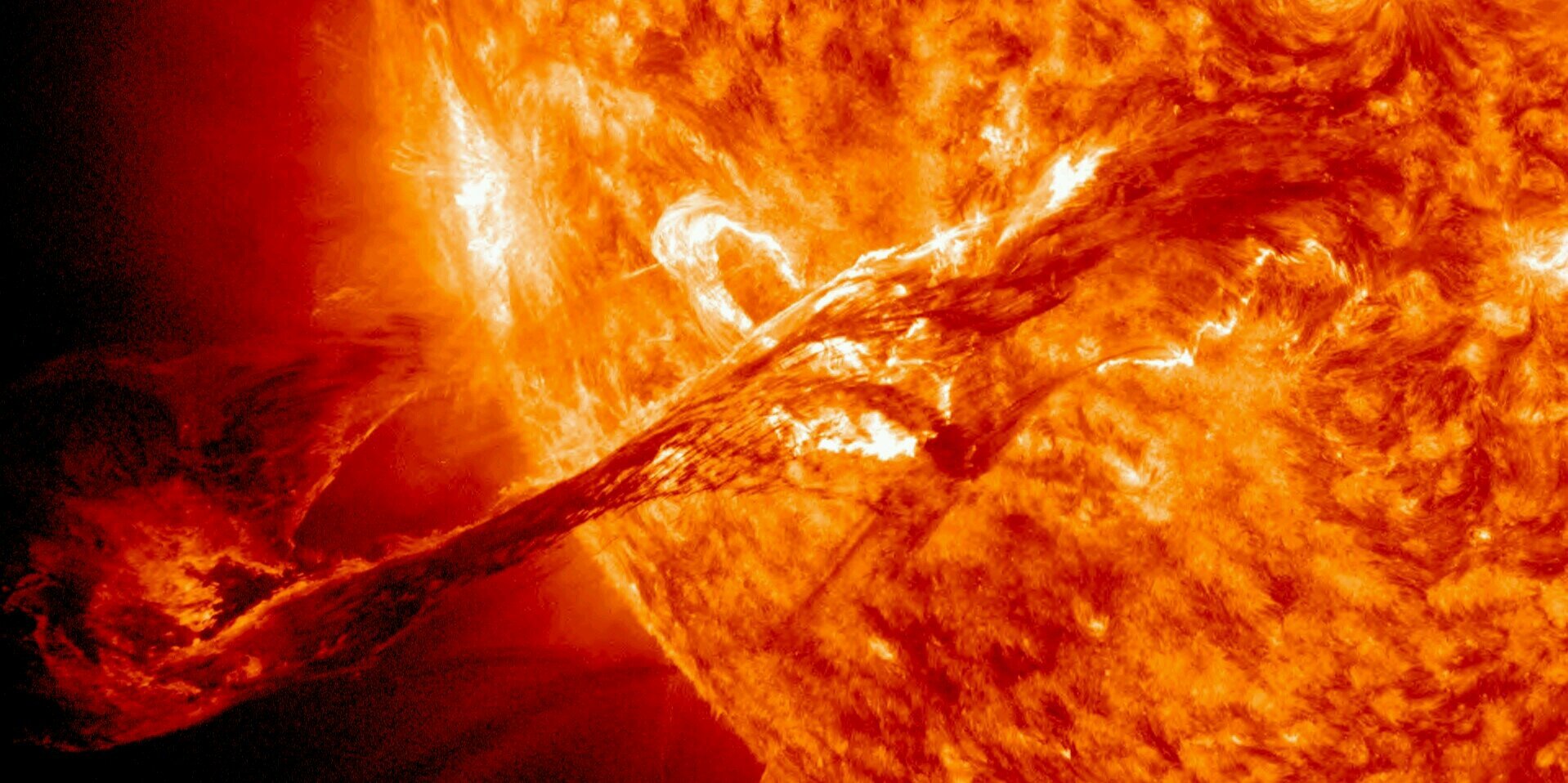 Bryin Caulfield banner