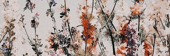 kcj11234's profile banner image