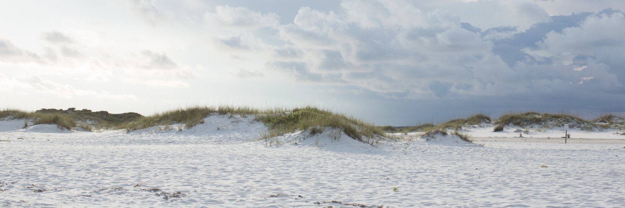 sgrpublishing's profile banner image