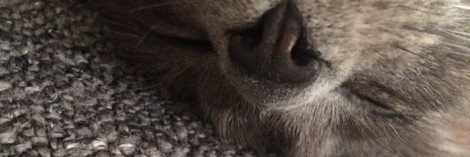 Coline_lmtr's profile banner image