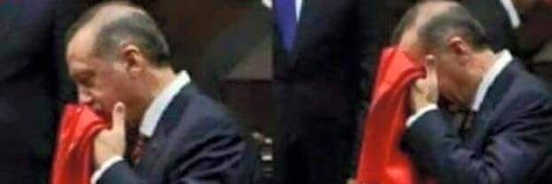 antepligim's profile banner image