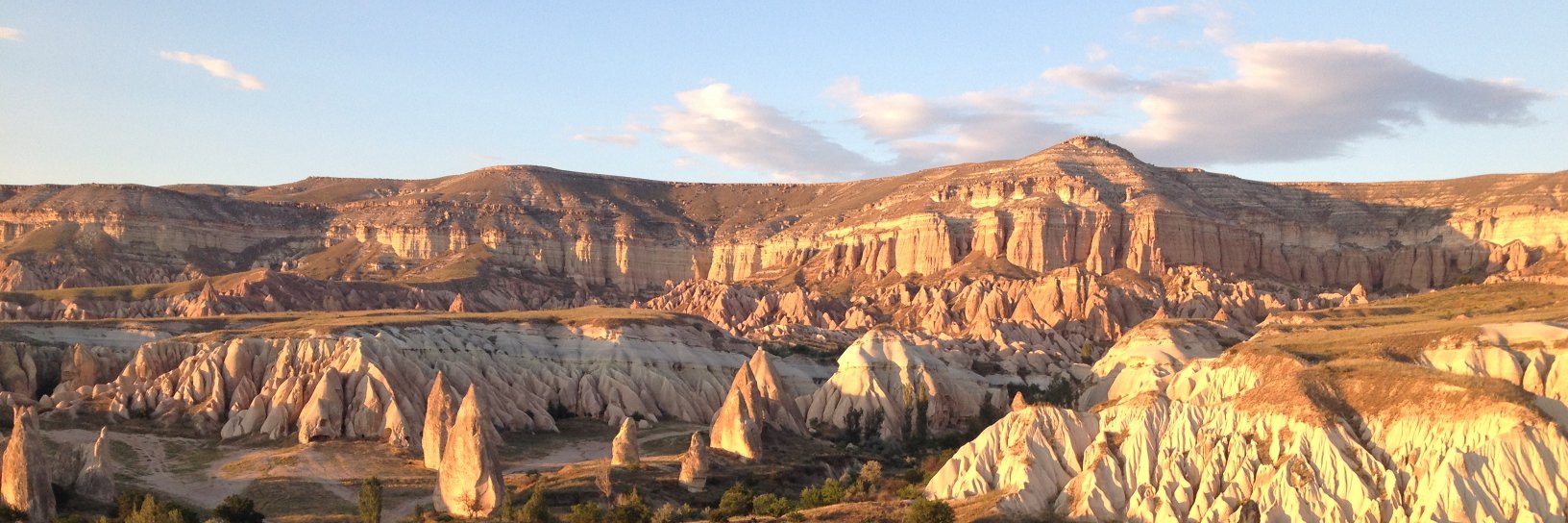 Fallon Mody @fallonmody@mastodon.social banner