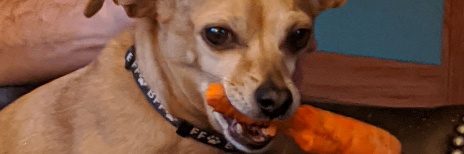 LaughtoHealth's profile banner image