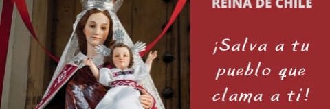 Abuelita Pita banner