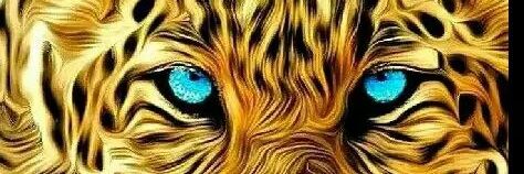 malakari_hari's profile banner image