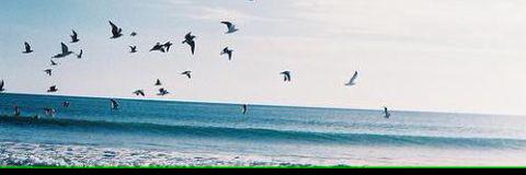 GamzeBknn's profile banner image