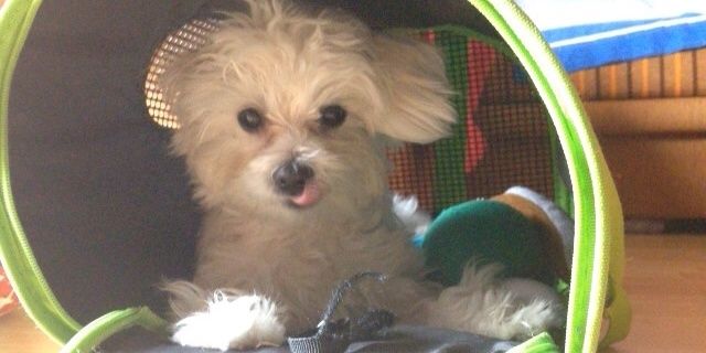 Sofizqui2001's profile banner image