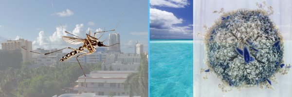 MattDeGennaro Profile Banner