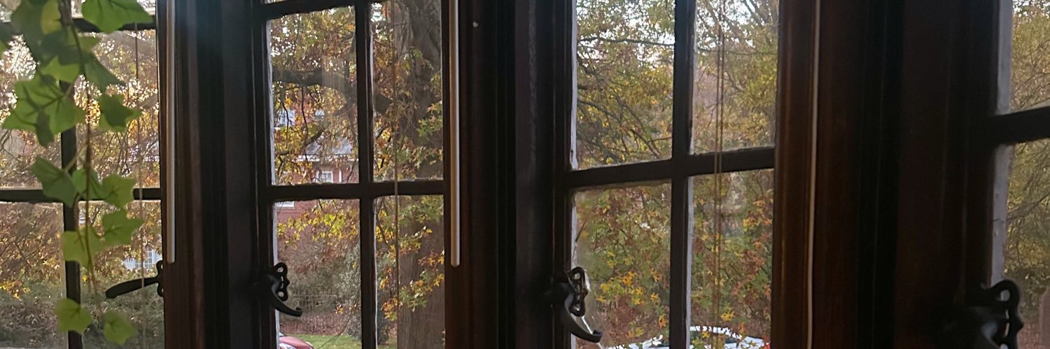 laurenwrightt_'s profile banner image
