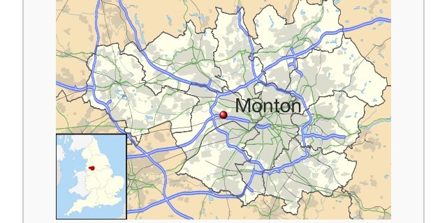 Monton Problems banner