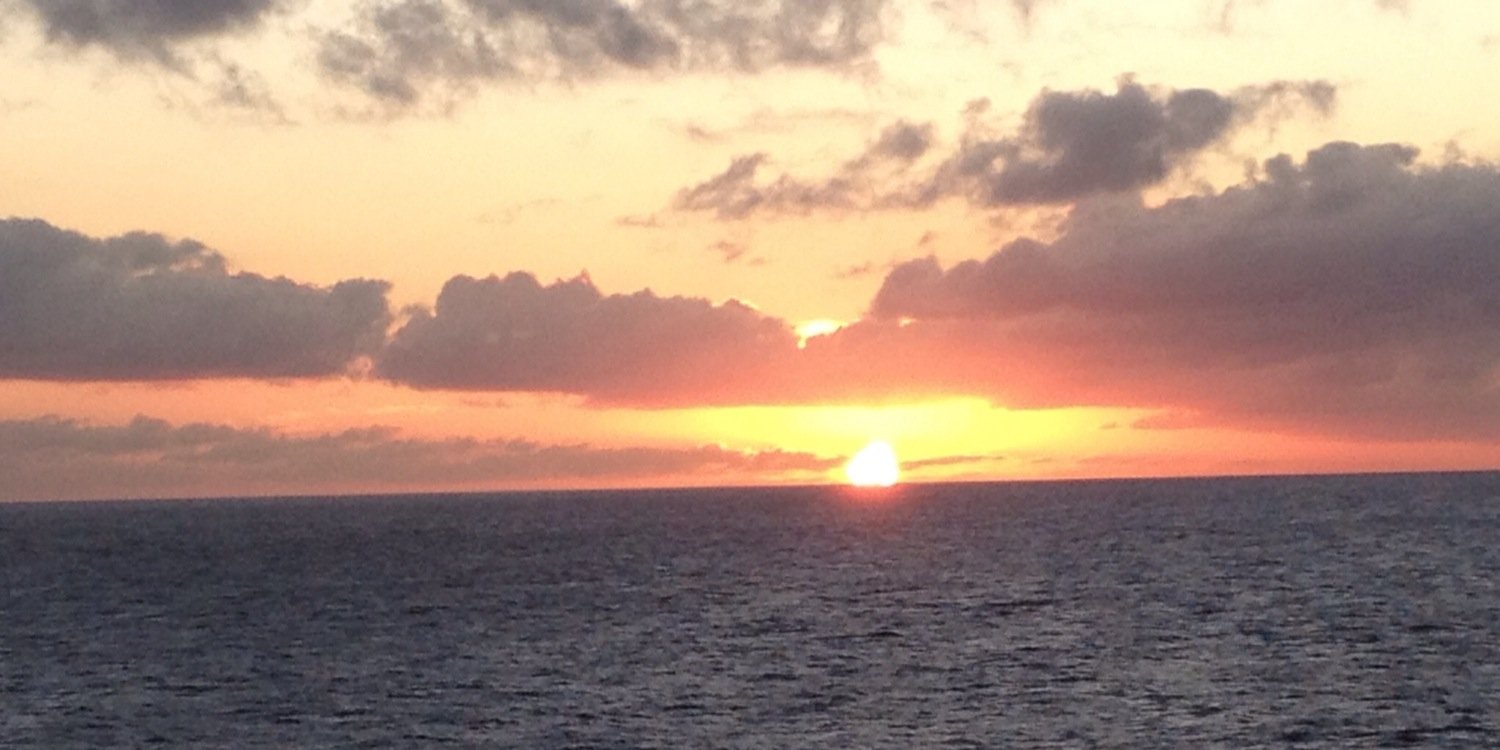 Dr. Kelly Whyte, banner