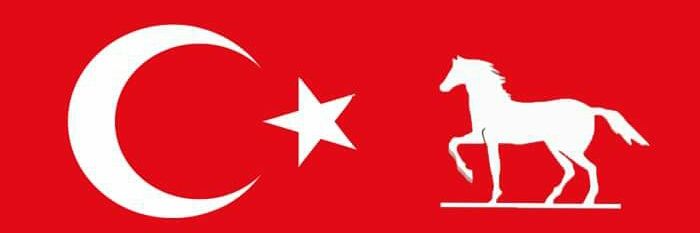 DPBURSA_NILUFER's profile banner image