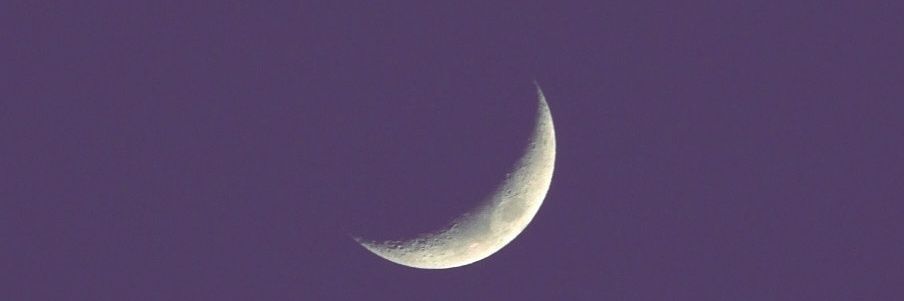 adrianagri1's profile banner image