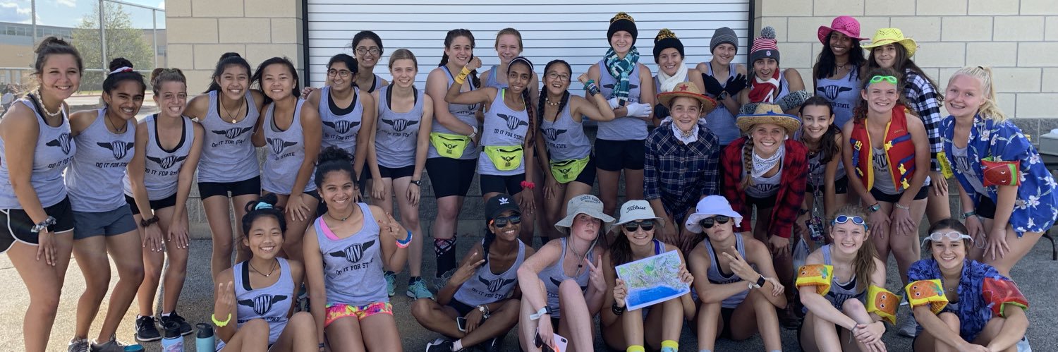 Metea Girls XC banner