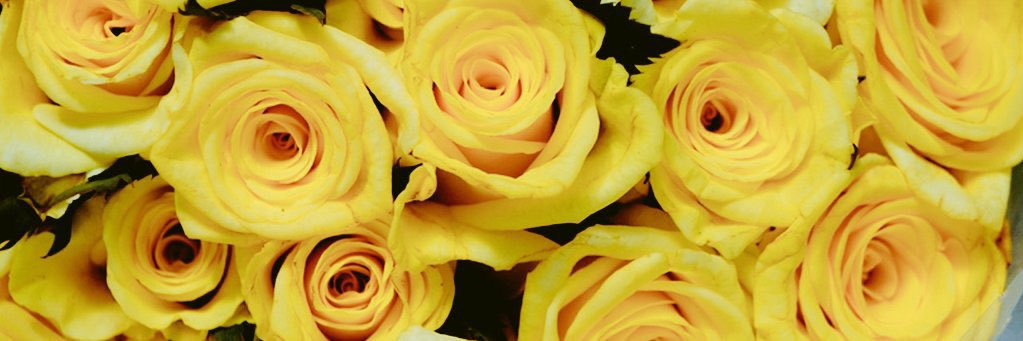 luvrye_'s profile banner image