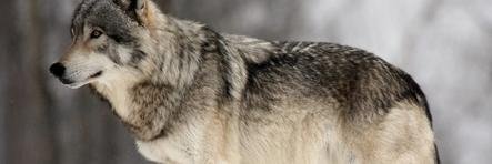 CasperLeeFM's profile banner image