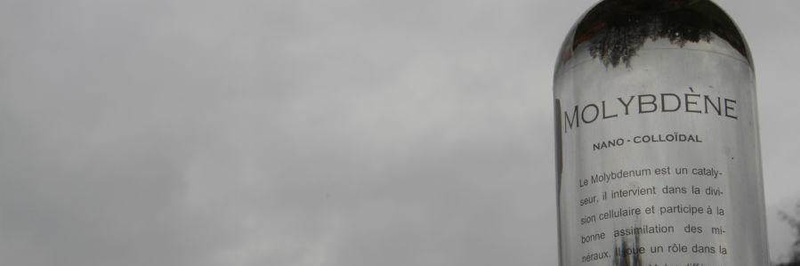 Molybdene_ banner