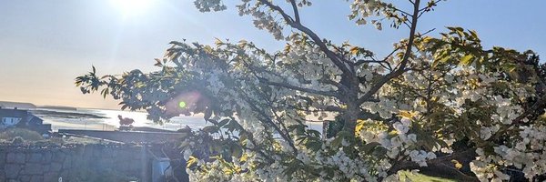 davebarna Profile Banner