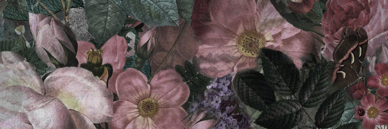 Jane ✨ is querying banner