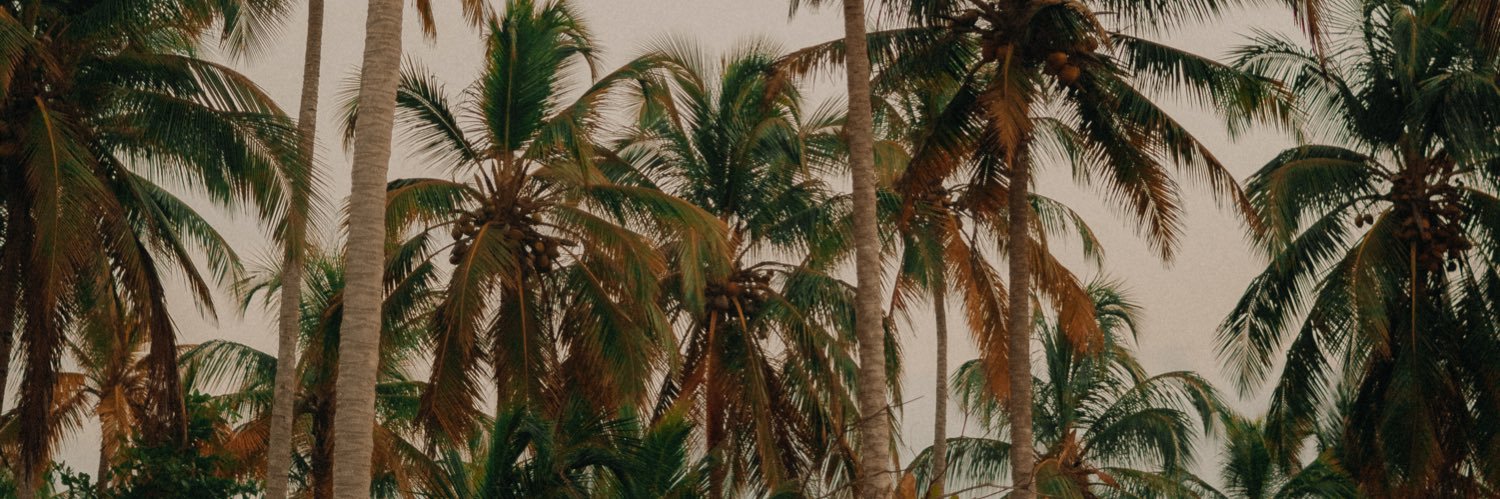 IWanderAndSea's profile banner image