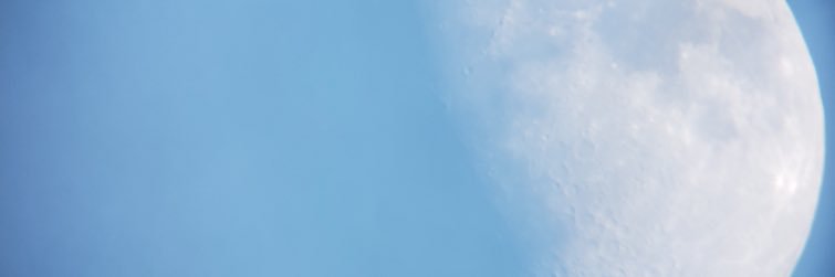 mnfbear's profile banner image